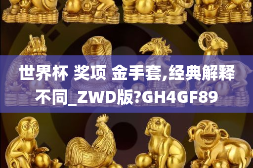 世界杯 奖项 金手套,经典解释不同_ZWD版?GH4GF89