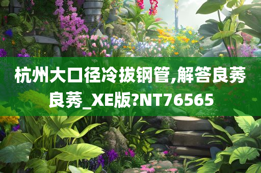 杭州大口径冷拔钢管,解答良莠良莠_XE版?NT76565