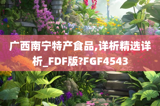 广西南宁特产食品,详析精选详析_FDF版?FGF4543