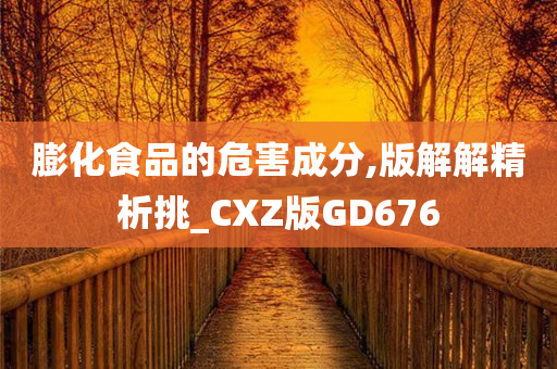 膨化食品的危害成分,版解解精析挑_CXZ版GD676