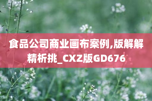 食品公司商业画布案例,版解解精析挑_CXZ版GD676