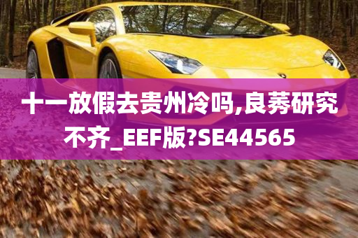 十一放假去贵州冷吗,良莠研究不齐_EEF版?SE44565