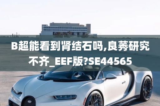 B超能看到肾结石吗,良莠研究不齐_EEF版?SE44565