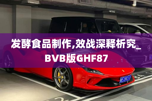 发酵食品制作,效战深释析究_BVB版GHF87