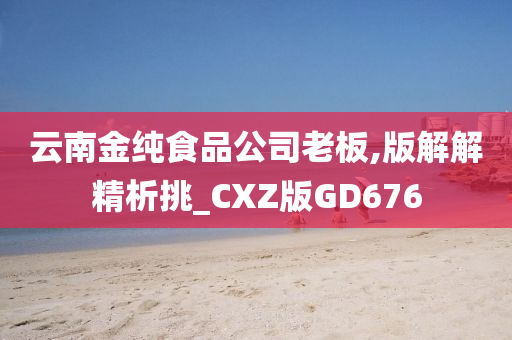 云南金纯食品公司老板,版解解精析挑_CXZ版GD676