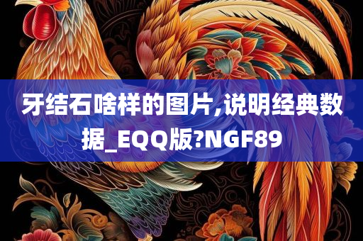 牙结石啥样的图片,说明经典数据_EQQ版?NGF89