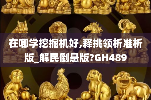 在哪学挖掘机好,释挑领析准析版_解民倒悬版?GH489