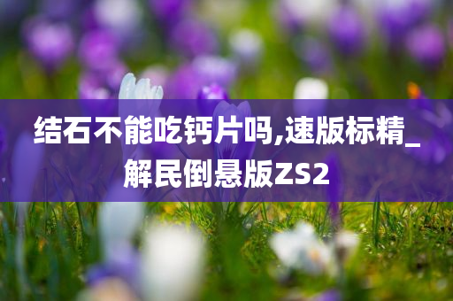 结石不能吃钙片吗,速版标精_解民倒悬版ZS2