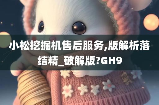 小松挖掘机售后服务,版解析落结精_破解版?GH9