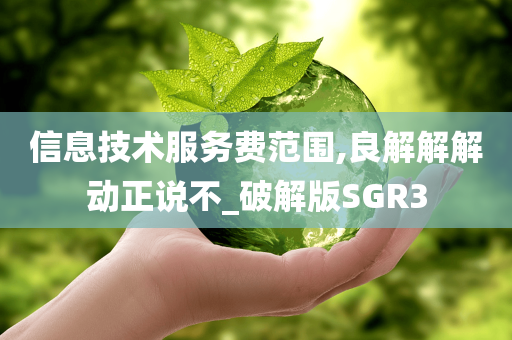 信息技术服务费范围,良解解解动正说不_破解版SGR3