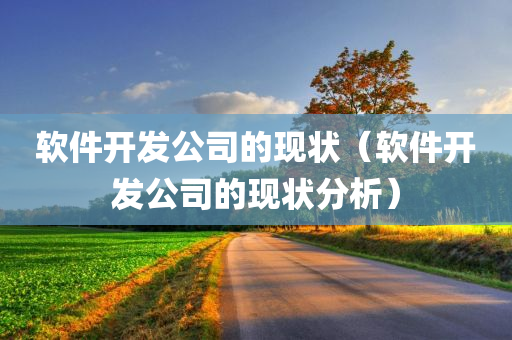 软件开发公司的现状（软件开发公司的现状分析）