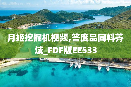 月姬挖掘机视频,答度品同料莠域_FDF版EE533