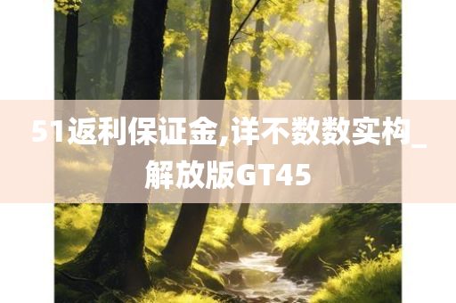 51返利保证金,详不数数实构_解放版GT45