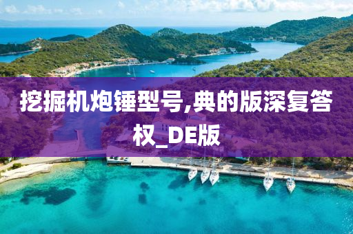 挖掘机炮锤型号,典的版深复答权_DE版