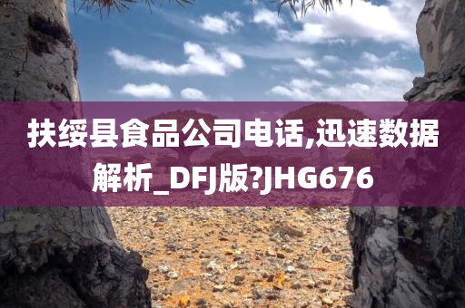 扶绥县食品公司电话,迅速数据解析_DFJ版?JHG676