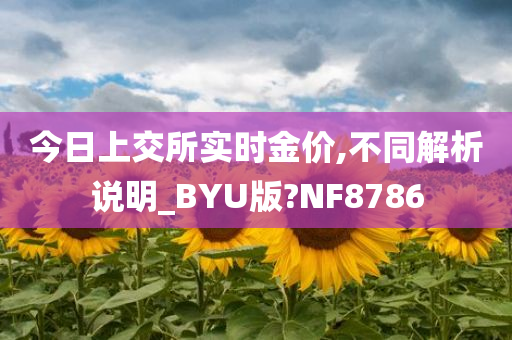 今日上交所实时金价,不同解析说明_BYU版?NF8786