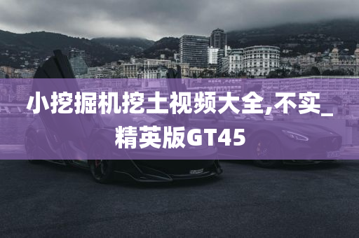 小挖掘机挖土视频大全,不实_精英版GT45