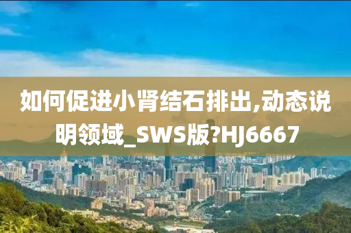 如何促进小肾结石排出,动态说明领域_SWS版?HJ6667