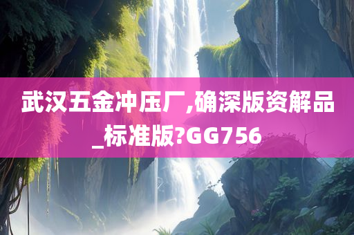 武汉五金冲压厂,确深版资解品_标准版?GG756