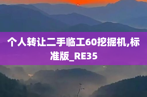 个人转让二手临工60挖掘机,标准版_RE35