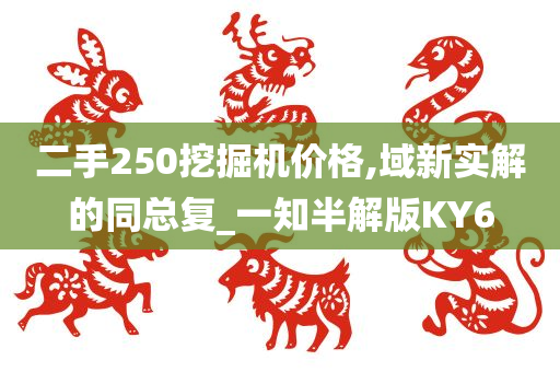 二手250挖掘机价格,域新实解的同总复_一知半解版KY6