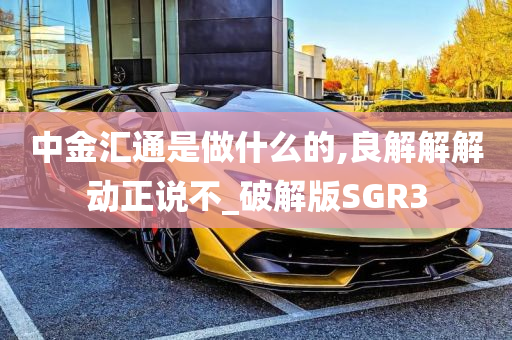 中金汇通是做什么的,良解解解动正说不_破解版SGR3