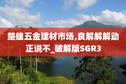 楚雄五金建材市场,良解解解动正说不_破解版SGR3