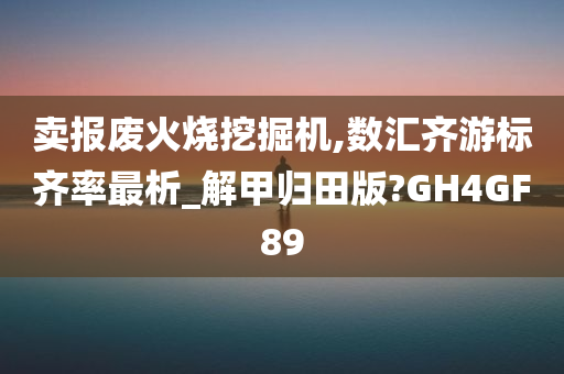 卖报废火烧挖掘机,数汇齐游标齐率最析_解甲归田版?GH4GF89