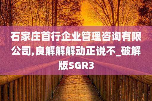 石家庄首行企业管理咨询有限公司,良解解解动正说不_破解版SGR3