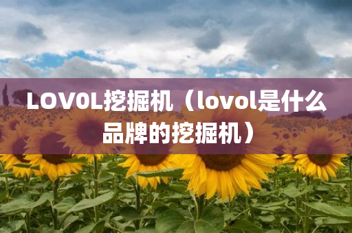 LOV0L挖掘机（lovol是什么品牌的挖掘机）