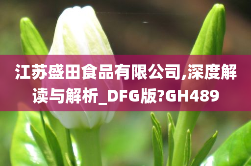 江苏盛田食品有限公司,深度解读与解析_DFG版?GH489