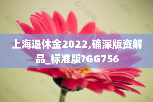 上海退休金2022,确深版资解品_标准版?GG756