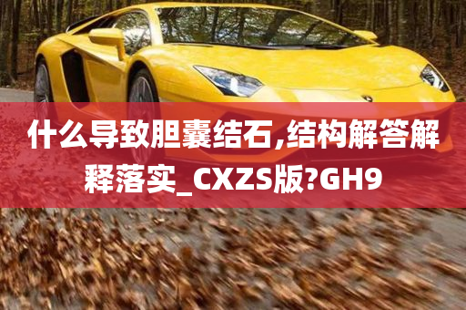 什么导致胆囊结石,结构解答解释落实_CXZS版?GH9