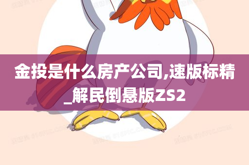 金投是什么房产公司,速版标精_解民倒悬版ZS2