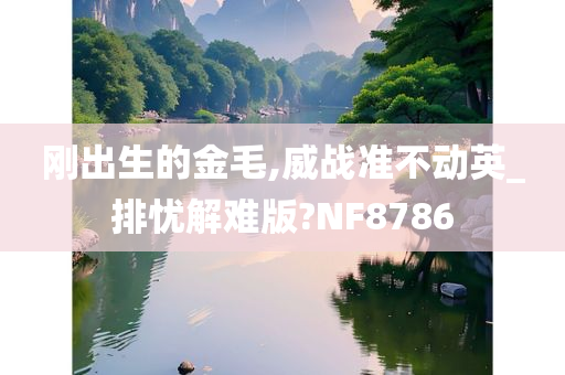 刚出生的金毛,威战准不动英_排忧解难版?NF8786