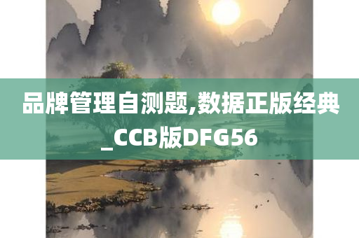 品牌管理自测题,数据正版经典_CCB版DFG56