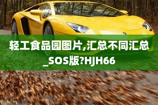 轻工食品园图片,汇总不同汇总_SOS版?HJH66