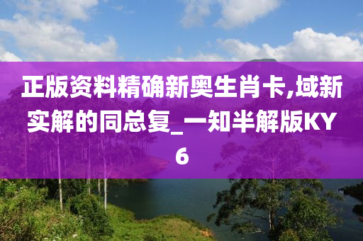 正版资料精确新奥生肖卡,域新实解的同总复_一知半解版KY6