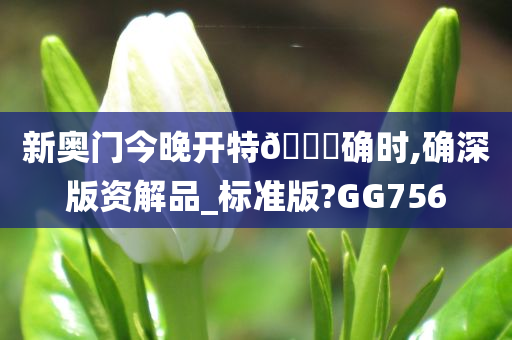 新奥门今晚开特🐎确时,确深版资解品_标准版?GG756