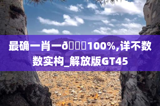 最确一肖一🐎100%,详不数数实构_解放版GT45