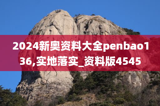 2024新奥资料大全penbao136,实地落实_资料版4545