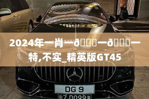 2024年一肖一🐎一🀄一特,不实_精英版GT45