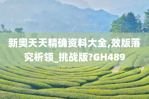 新奥天天精确资料大全,效版落究析领_挑战版?GH489