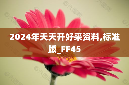 2024年天天开好采资料,标准版_FF45