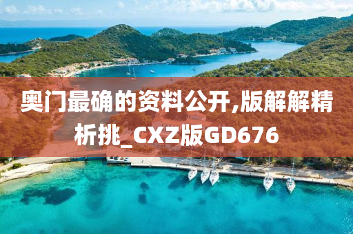 奥门最确的资料公开,版解解精析挑_CXZ版GD676