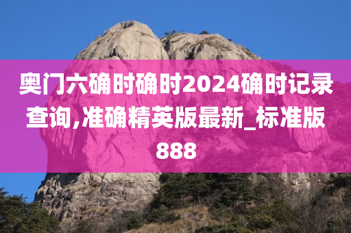 奥门六确时确时2024确时记录查询,准确精英版最新_标准版888