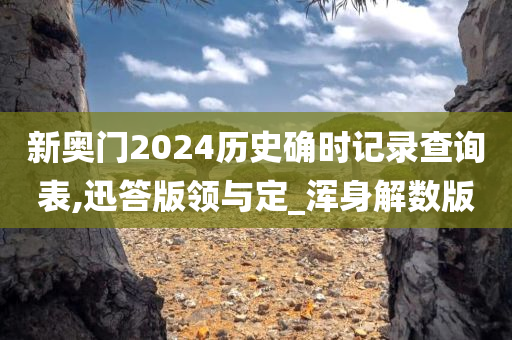 新奥门2024历史确时记录查询表,迅答版领与定_浑身解数版