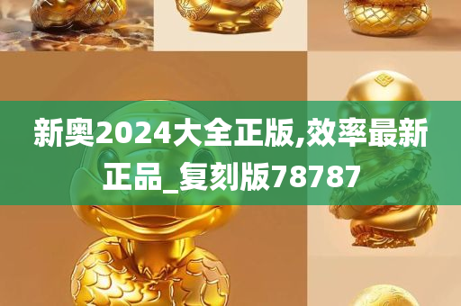 新奥2024大全正版,效率最新正品_复刻版78787