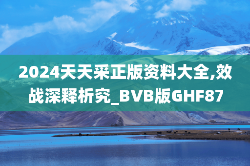 2024天天采正版资料大全,效战深释析究_BVB版GHF87