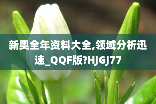 新奥全年资料大全,领域分析迅速_QQF版?HJGJ77